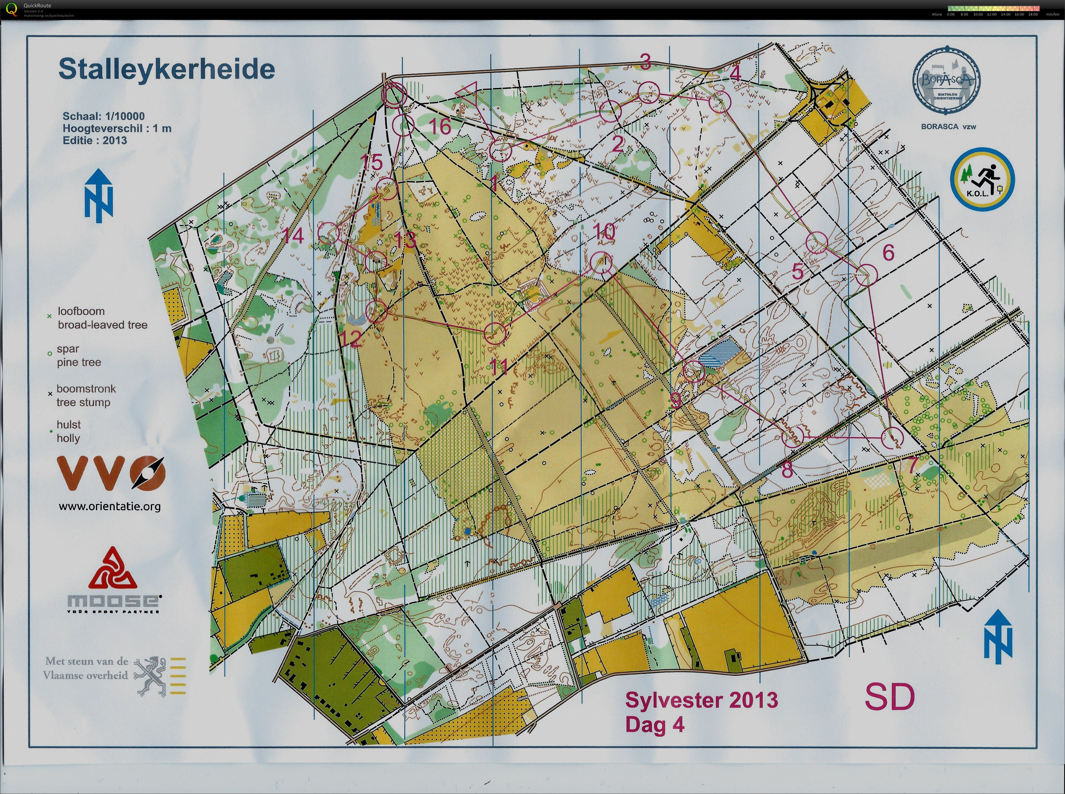 Staleyckerheide (29.12.2013)